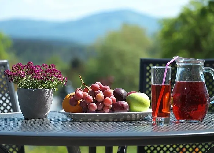 Wzgorze Poreba - W Ofercie Darmowe Ladowanie Aut Elektrycznych 住宿加早餐酒店 3*